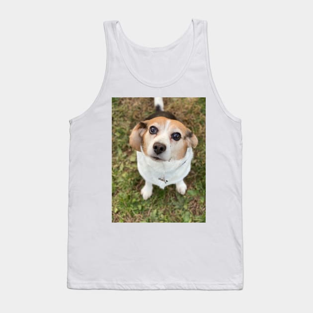 The Curious Beagle Tank Top by Layla's Surgery Fundraiser